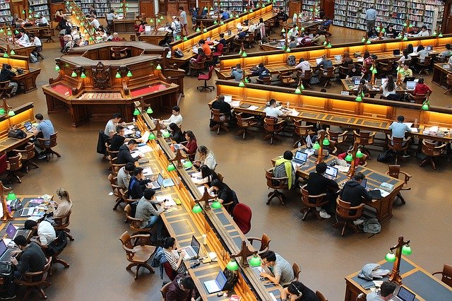 bibliothèque universitaire